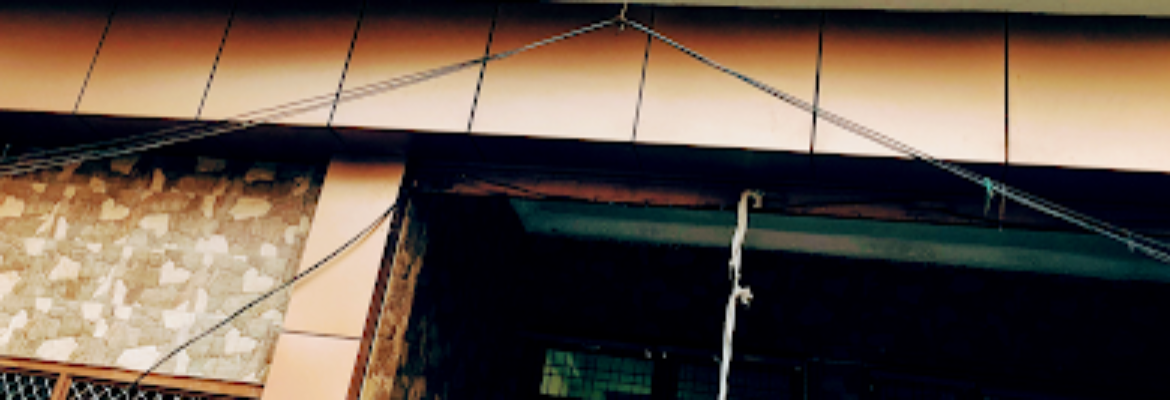 Eden Hospital & Trauma Center in Lucknow – Best Multispeciality Hospital In Lucknow