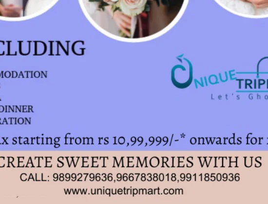 Unique TripMart – Best Travel Agecy in Delhi