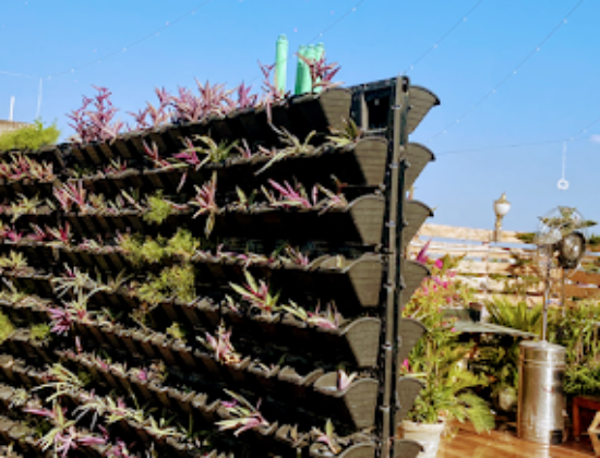 Forest Restro and Bar