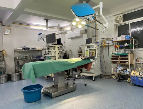 Saket Hospital