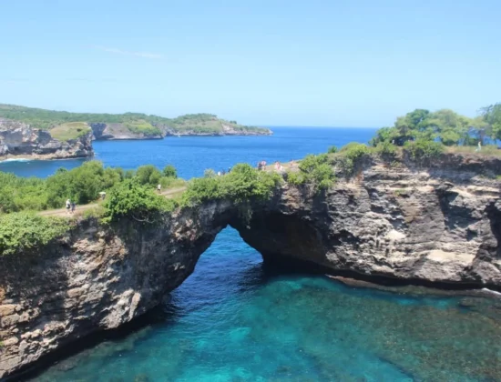 Vibrant Holidays