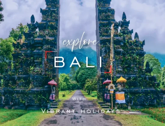 Vibrant Holidays