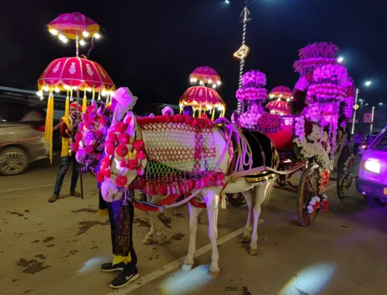 Pankaj Band Party & DJ Light House