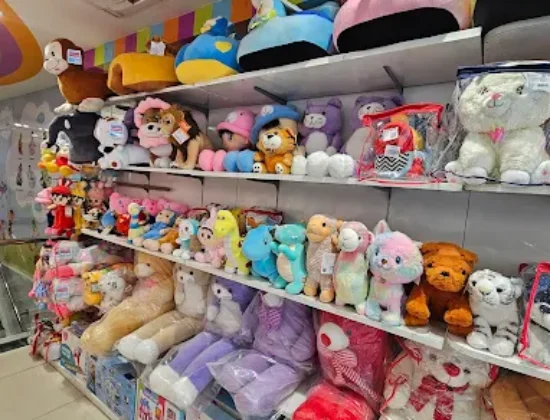 Firstcry Store Delhi Pitam Pura