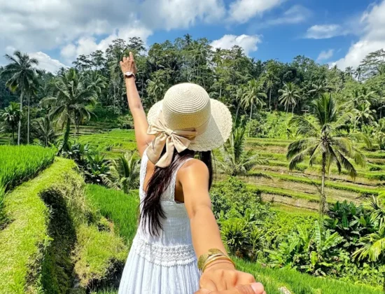 Vibrant Holidays