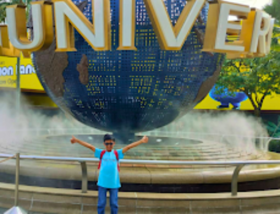 Concept Holidayz – Travel Agent in Delhi