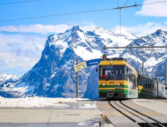 Parul Tours and Travels