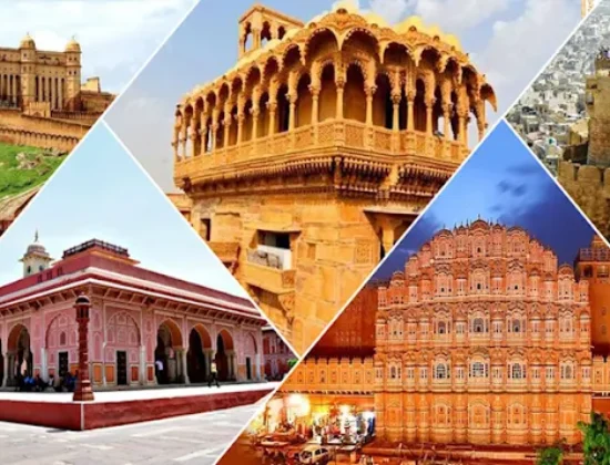 Progressive Cab – Luxury 12, 16 Seater Tempo Traveller On Rent Delhi, Tempo Traveller Hire In Delhi