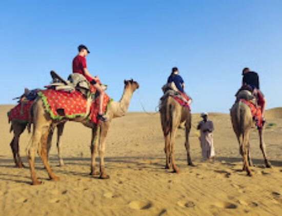 Chandan Car Rental – Best Travel Agency in Delhi | Golden Triangle Tour