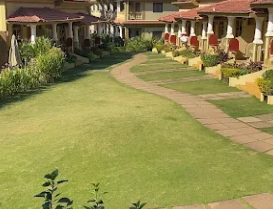 Trip String (GOA DMC)