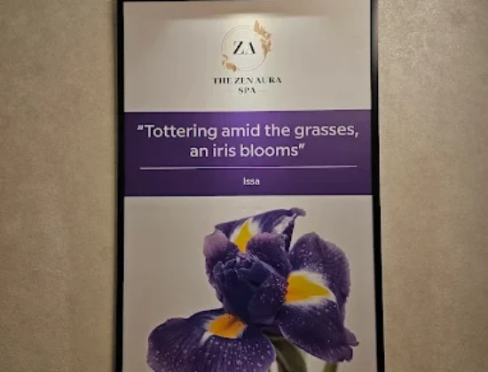 The Zen Aura Spa Jayanagar