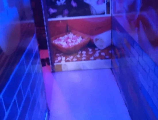 Pink Rose Thai Spa & Saloon