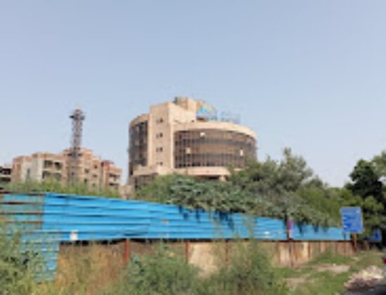 Directorate General of Health Services