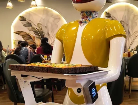 THE ROBOT RESTAURANT PRAYAGRAJ – THE YELLOW HOUSE