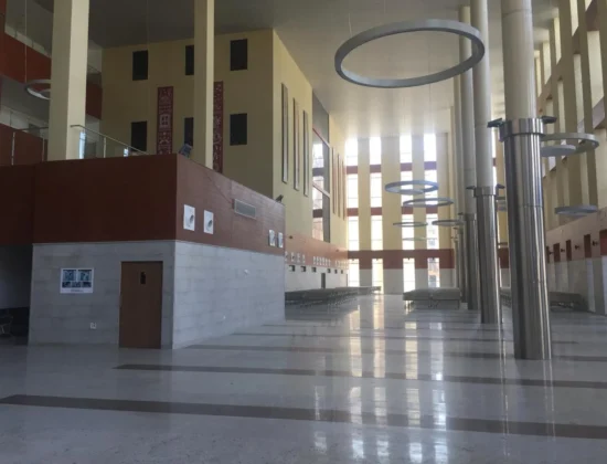 Sardar Vallabhbhai Patel Institute of Medical Sciences and Research