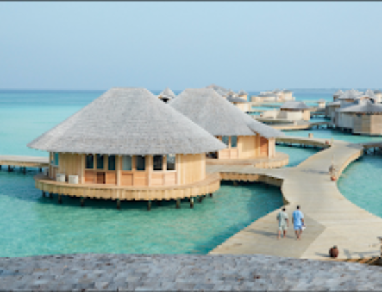 Book My Bharat – Best Travel Agency in NSP, DELHI